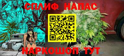 сатива Кунгур
