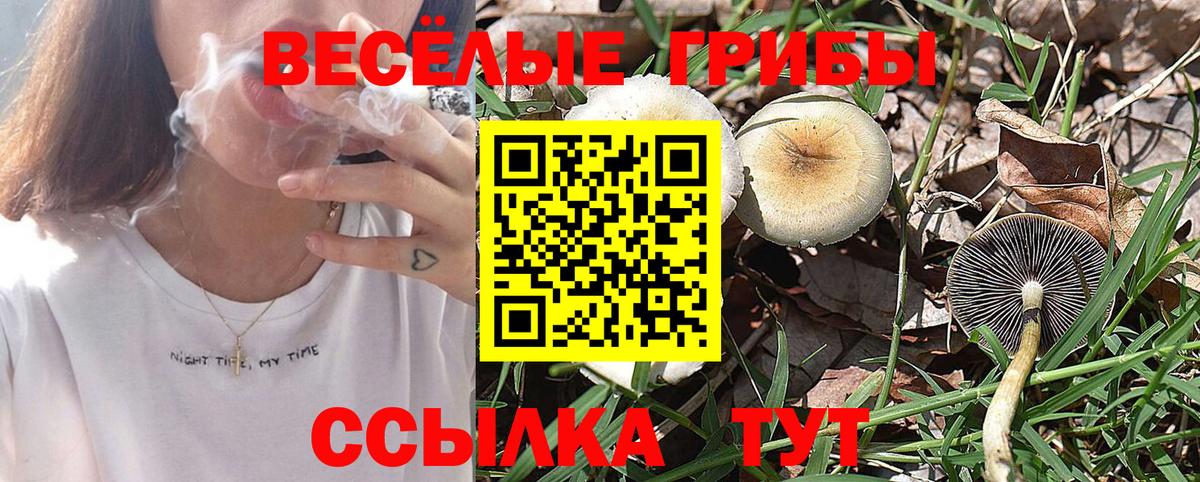 Псилоцибиновые грибы MAGIC MUSHROOMS Гай