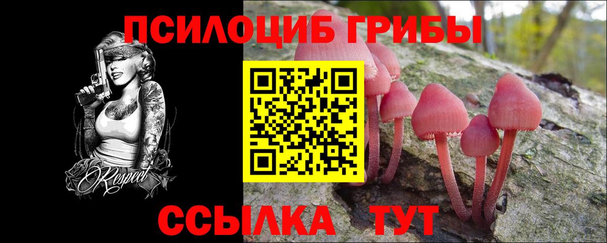 Гай  Псилоцибиновые грибы Magic Shrooms  Вход с VPN  Псилоцибиновые грибы Psilocybine cubensis 
